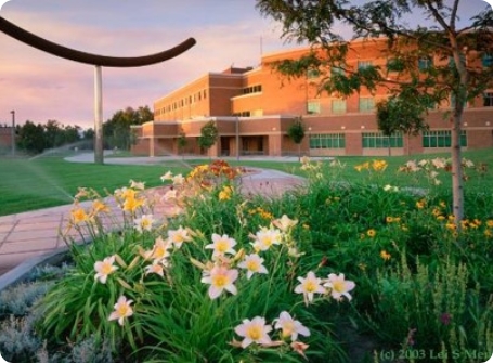 img-montanaStateUniversity